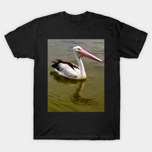 Australian Pelican Swimming! T-Shirt